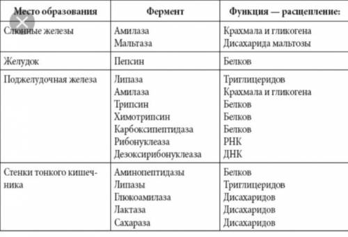 Ферменты пищеварительной системы таблица 1)название ферментов 2)где действует 3)какие вещества 4)про