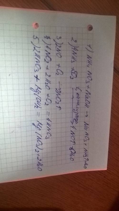 )) заранее! nh4no3> nh3> no> no2> hno3> mg(no3)2