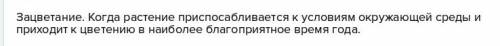 Пишу сейчас сор нужно записать один процесс жизнедеятельности растений , зависящий от фотопериодизма