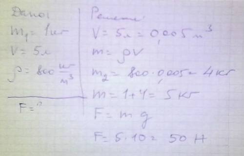 Вбидон m = 1 кг налили 5 л керосина. какую силу ( f ) нужно приложить, чтобы приподнять бидон?