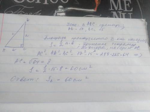 Определите площадь прямоугольного треугольника с ипотекой 17 см и одним из катетов 15 см