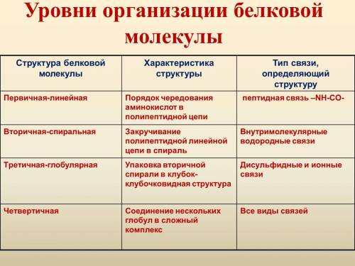 Перечислить уровни организации белковой молекулы. какие связи поддерживают эти уровни? ​