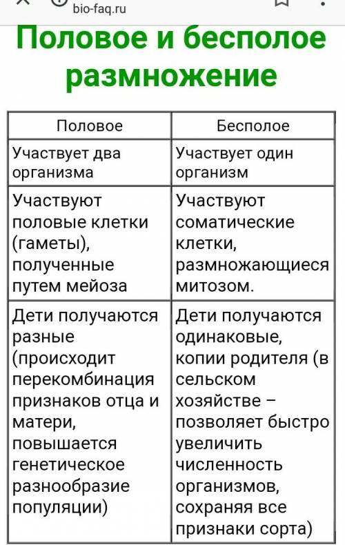 1. какие клетки участвуют в бесполом размножении, а какие в половом? 2. какие признаки наследует нов