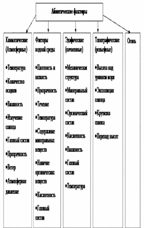 перечисли абиотические факторы экосистемы, необходимых для образования органических веществ