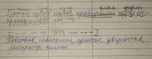 Пятые сутки геолог пробирался через непроходимый лес . --полный синтаксический разбор.​