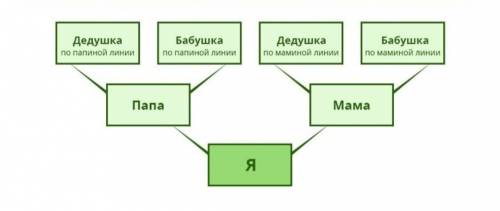 Нужно составить генеалогическое дерево​