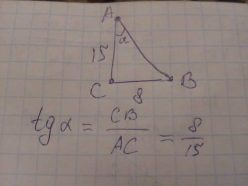 Катеты прямоугольного треугольника равны 8 см и 15 см. найдите тангенс угла, прилежащего к большему