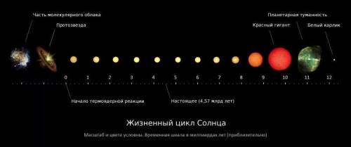 Образование звезды и её стадий эволюции (от протозвезды до белых карликов по массе солнца, красные г