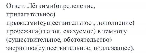 Легкими прыжками пробежала в темноту зверюшка. синтаксический разбор предложения. выделить над кажды