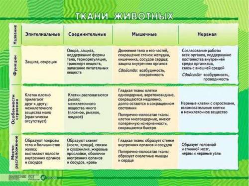 Заполните таблицу учебник 6 класс сонин с белкой