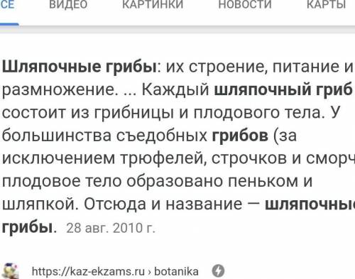 Что представляет собой весь шляпочный гриб?