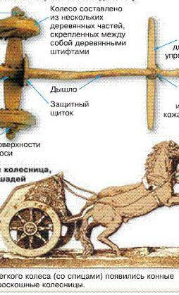 Из чего состаяла колесница? дайте точный ответ,)