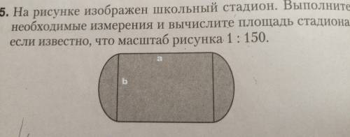На рисунке изображен школьный стадион. выполнитенеобходимые измерения и вычислите площадь стадиона,е