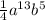 \frac{1}{4}a^{13}b^{5}