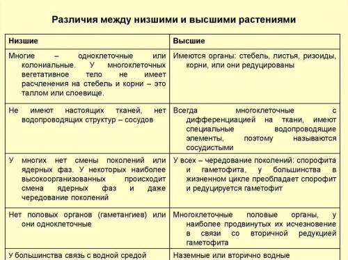 Количество аминокислот в организме.отличия низших и высших растений.​