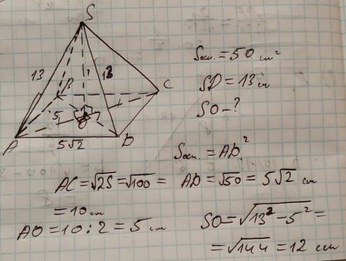 Площа основи правильної чотирикутної піраміди дорівнює 50 см², бічне ребро - 13 см. знайдіть висоту
