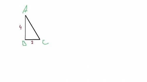 Постройте треугольник авс, такой, что угол в=90 градусов, вс=2 см, ва=4см. измерьте транспортиром уг