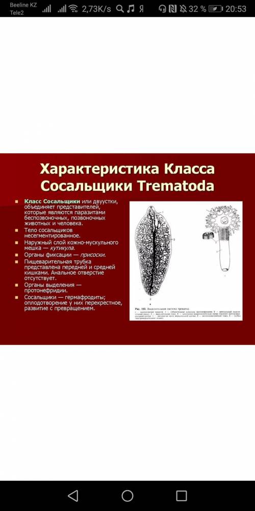 Особенности класса сосальщиков​