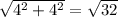 \sqrt{4^{2}+4^{2}}=\sqrt{32}