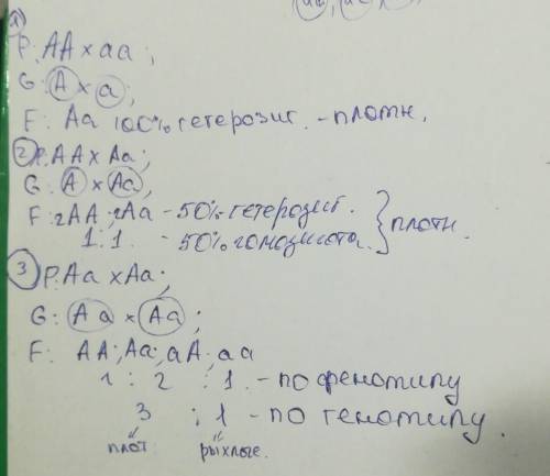 Употомства не происходит расщепление по генотипу, если скрещены родительские особи с генотипами: aa