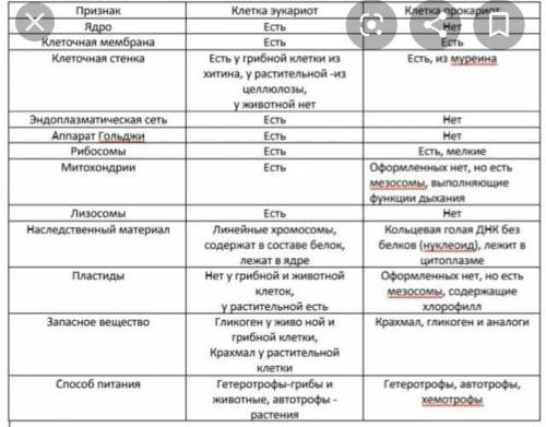 Сбиологией! сравнение клеток прокариот и эукариот​