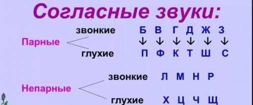 Вслове раскаленный н глухая парная почему? ​