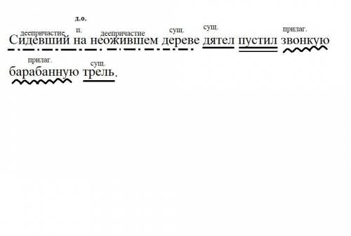 Сделать синтаксического разбор предложения.сидевший на неожившем дереве дятел пустил звонкую барабан