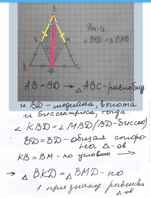 Доказать равенство треугольников bkd и bmd​