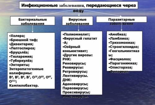 5. выберите и подчеркните заболевани через воду 1. малярия. 2. полиомиелит. (3) брюшной тиф. 4. виру