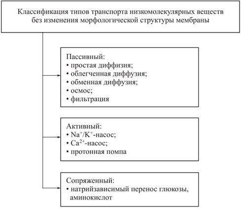 Як називається мембраний транспорт до і від клітини​