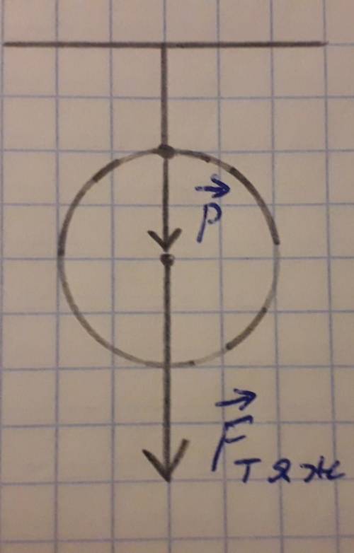 Люстра в виде шара имеет массу 5 кг определите вес люстры сделайте рисунок и покажите вес и силу тяж