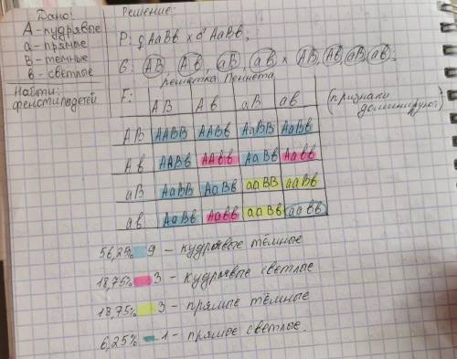 Учеловека ген кудрявых волос доминирует над геном прямых волос,а ген темных волос - над геном светлы