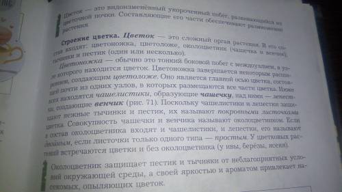 Строение цветка (цветок картофеля) лабораторная работа №5 1. рассмотрите цветок. найдите цветоножку,