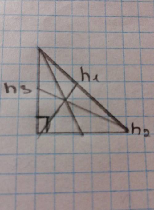 Начертите прямоугольник треугольник и найдите три высоты