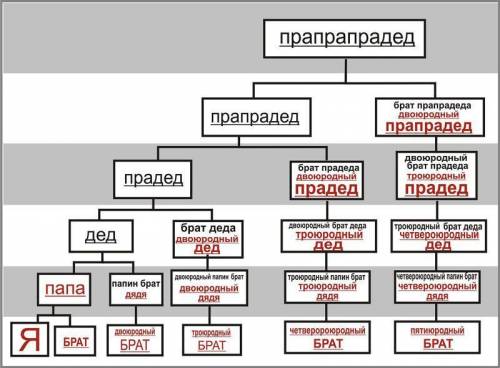 Кем мне будет прадедушкин брат?