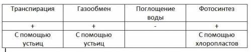 Строение листа при к выполнению разнообразных функций отметьте основные функции листа транспирация ,