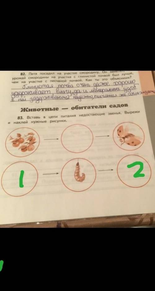 Вставь в цепи питания недостающие звенья.вырежи и наклей нужные рисунки. только !