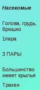 7класс заполнить таблицу внутреннее строение кратко и ясно ракообразные**пауки**насекомые ** ** ** *