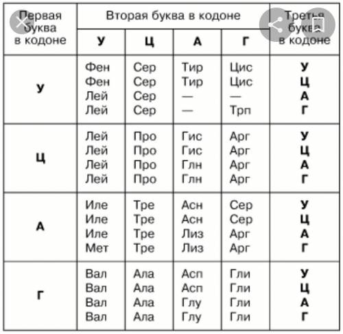 Фрагмент цепи днк имеет следующую последовательность нуклеотидов: атт-гцт-тат-тцц. определите послед