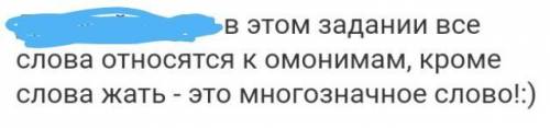 343. [l] распределите слова по колонкам. не забудьте, что омонимы можно отличить от многозначных сло