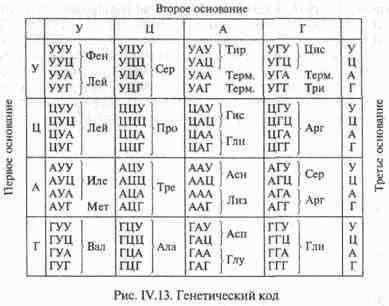 Эта биология хз даже что нужно сделать