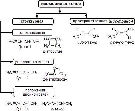 Почему у алкенов существует значительно больше изомеров, чем у алканов с тем же числом атомов углеро