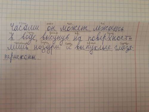 Часами он может лежать в воде, высунув на поверхность лишь ноздри и выпуклые глаза-перископы. сделай