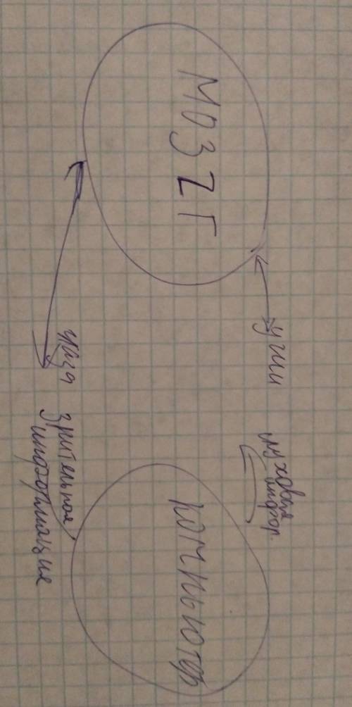 Кластер на тему система обмена информацией между мозгом и компьютером​