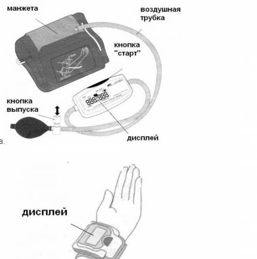 Лабораторная работа измерение кровеного давления