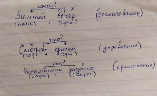 Разберите словосочетания: 1) зимний вечер. 2) смотреть фильм 3) несомненно радостно