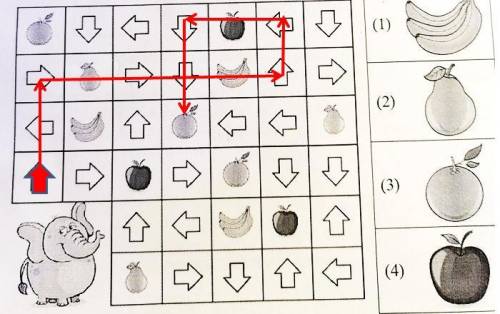 Слон следует за фруктами в направлениях, указанных стрелками, а количество шагов зашифровано в уравн