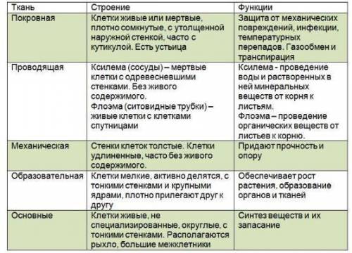 Что образуют образовательная ткань, покровная ткань, механическая ткань, проводящая ткань, основная