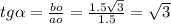 tg \alpha = \frac{bo}{ao} = \frac{1.5 \sqrt{3} }{1.5} = \sqrt{3}