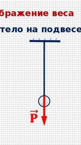 Изобразите графически вес тела p=36н